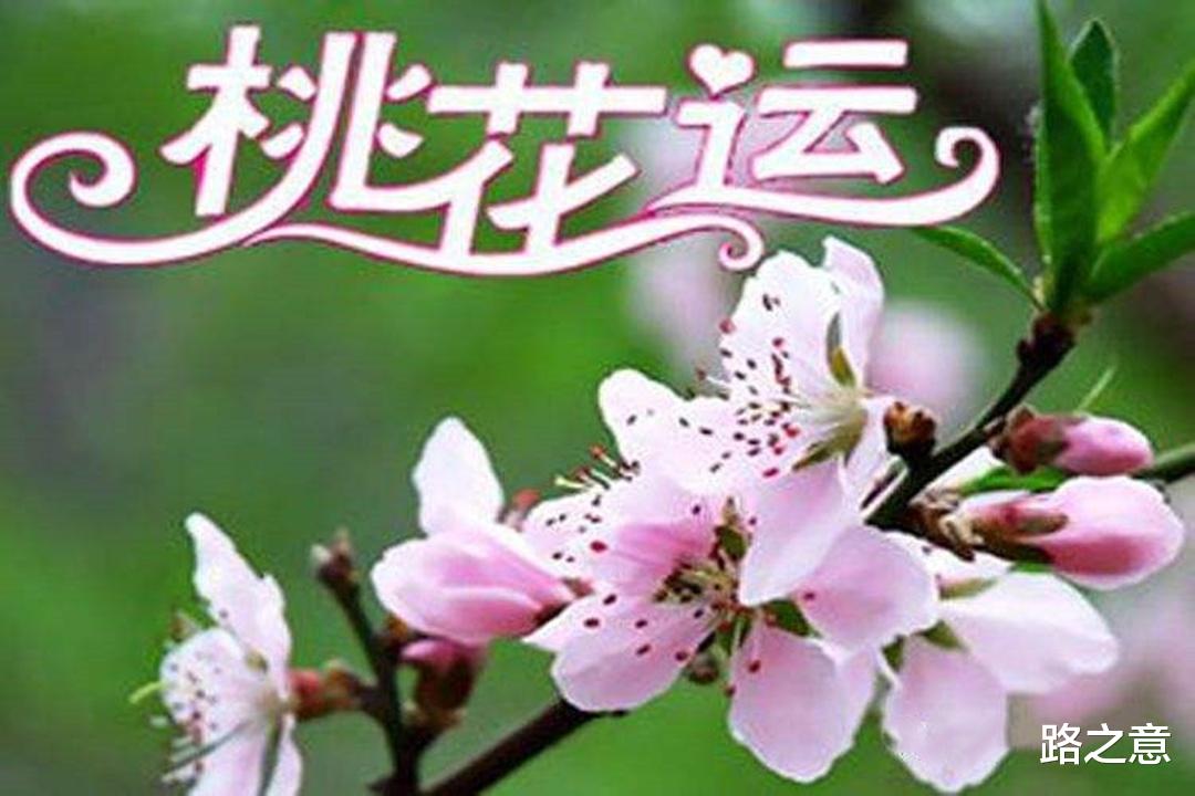 男子试图以婚姻摆脱清贫,却掉进了富婆的圈套!1996年安徽情杀案
