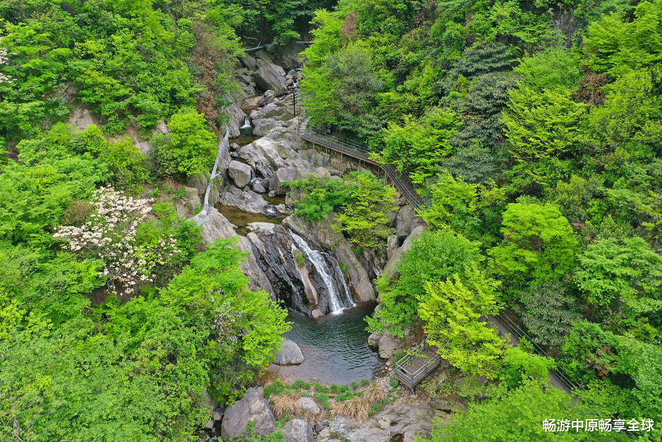 |520告白季|一起相约龙津溪地,共赏浪漫盛宴