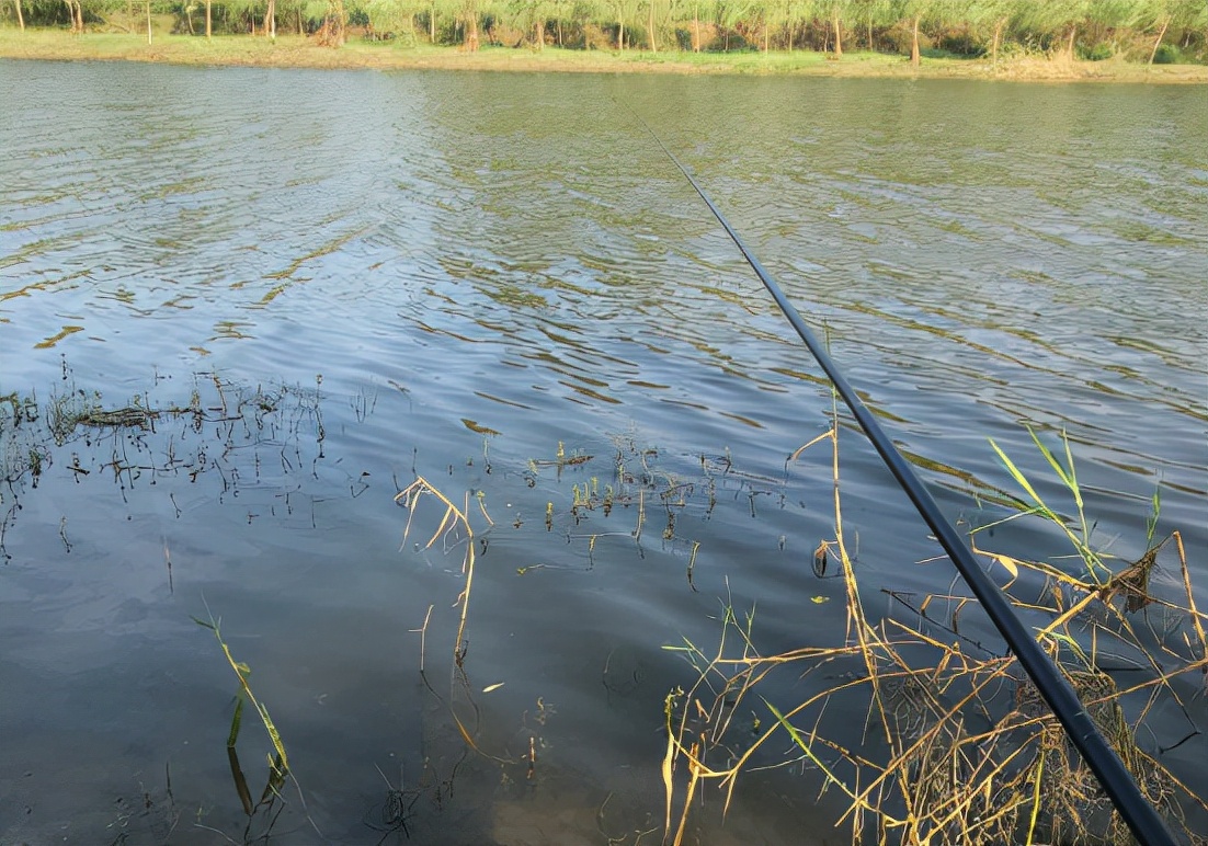 |春季钓鱼变数多，教你一套“黄金钓法”，任何水面都能“爆护”