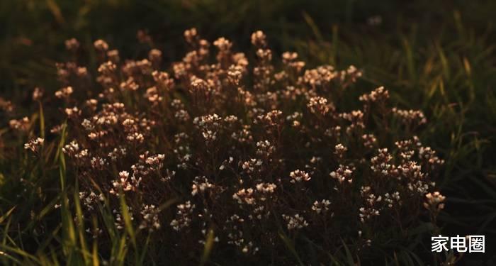 家电企业|高端套系和下沉渠道,真的能拯救家电厂商于水火吗?