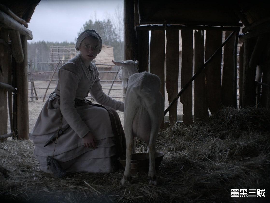 哈利·波特|安雅小公主，只烧水不做饭，成《哈利波特》对阵伏地魔太兴奋