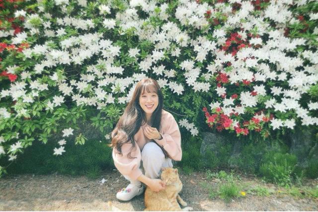 衣帽间|41岁郑丽媛独居19年,书墙衣帽间那叫一个震撼,简直是人间理想