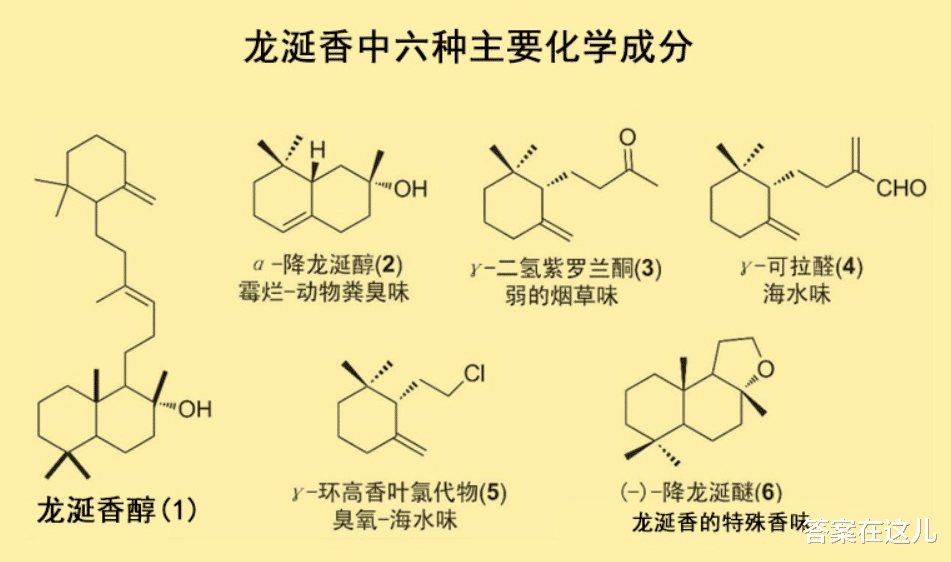 鲸鱼明明产了大量排泄物,粪便价值却还是很大,为什么?
