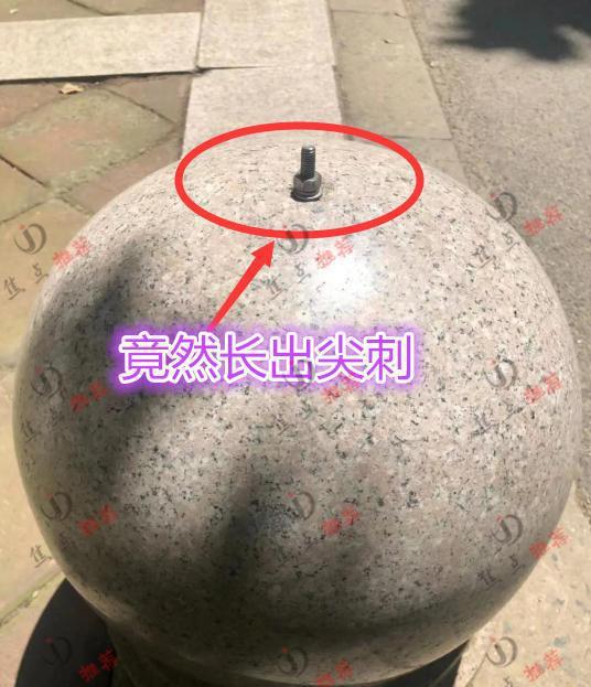 4名女生坐石墩子吸收热量,2天后石墩子出现尖刺,网友:格局小了