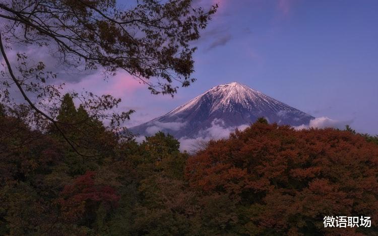 山东省|未来几年,为什么不建议你冲着“热门行业”寻找工作?
