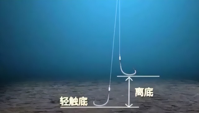 饵料|夏季钓鲤有技巧，牢记3个“小妙招”！别怕不开口，用了准上鱼