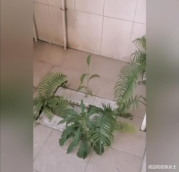 闲鱼|“路上捡了个U盘,里面一个文件夹都没有...这是啥啊?”