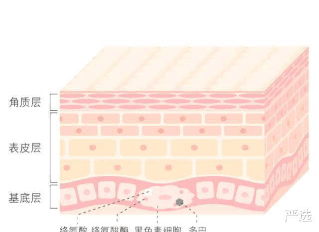 关晓彤|娱记曝关晓彤定期去打美白针，因身体受到影响，露面都靠全身擦粉