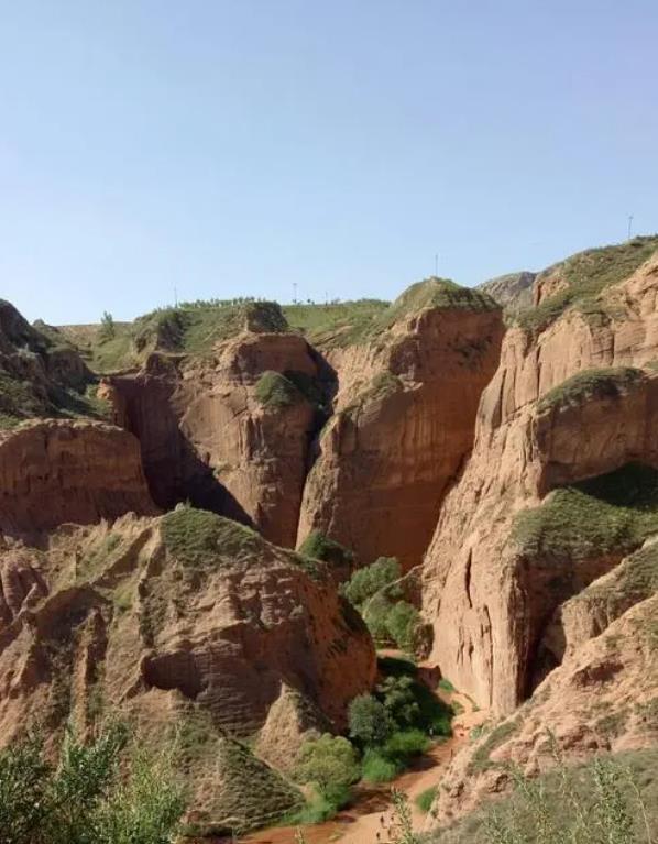 纪实殷玉珍嫁去沙漠睡地窖,大哭7天不甘认命,15年后成“治沙女王”
