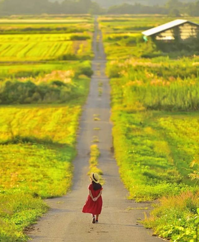 宫崎骏|日本爸爸把女儿拍成宫崎骏动画，治愈无数人，每天都有上万人催他晒娃！