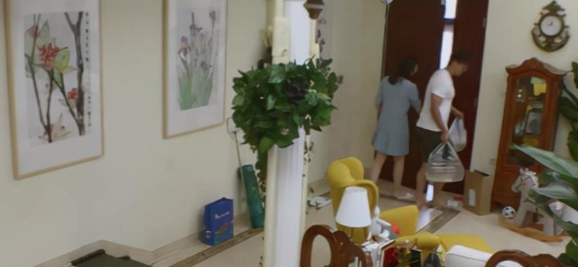 凌潇肃晒出自己的豪宅,全屋墙上都挂着字画,夫妻俩太有文化了