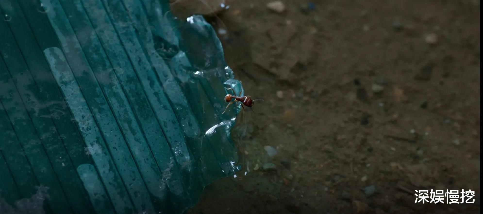 文牧野|全网零差评!继《我不是药神》,文牧野再次完美讲述“笨小孩”