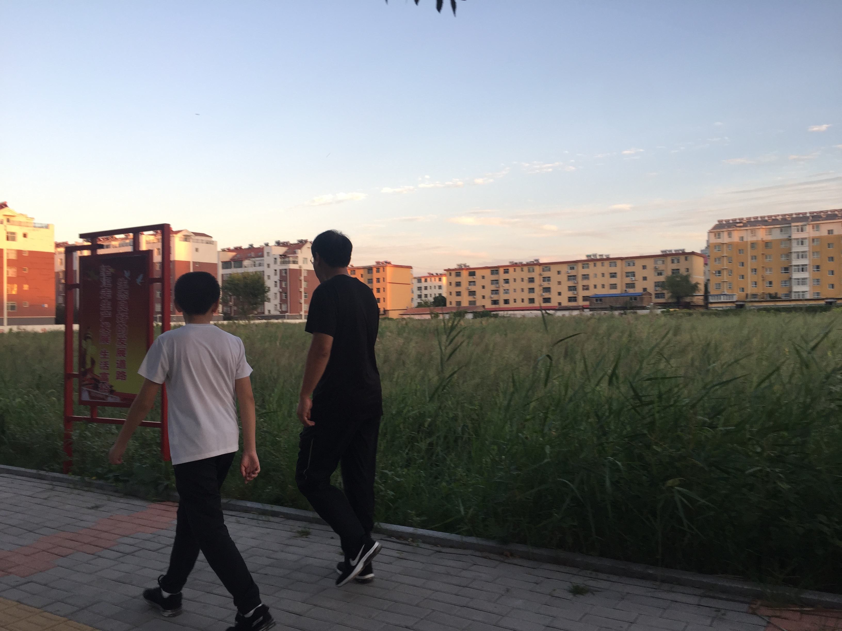 健脾|秋季是调理脾胃好时机，8道小学生营养早餐，调理脾胃，免疫力强