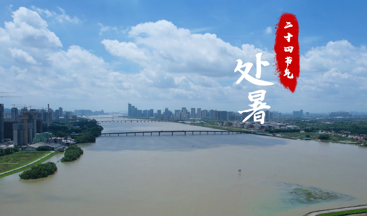 处暑|处暑 ，漫步“湾区之心”南沙