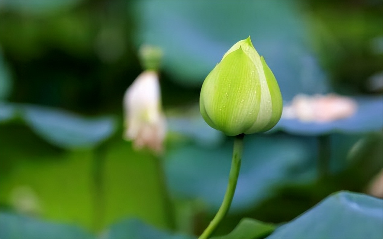 晏子|职场上，一个人走向衰败时，会出现以下三个特质