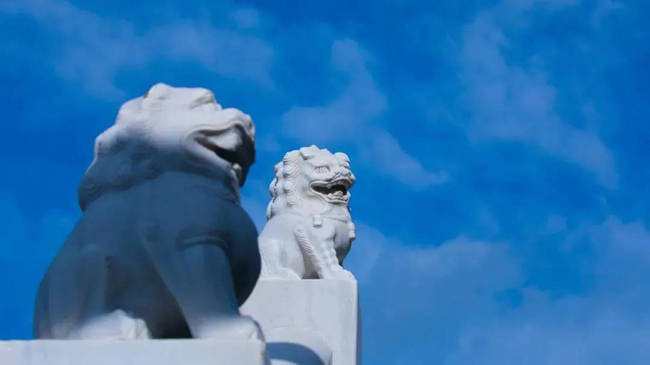 |明叔家如此的遭遇这是为什么