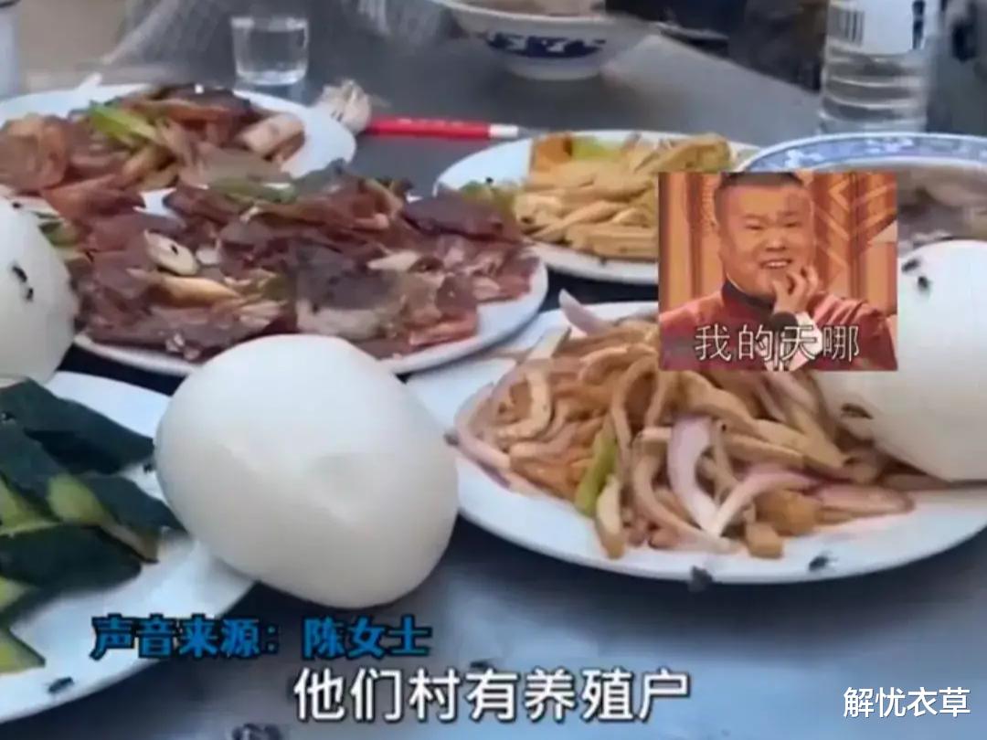 河南一女子去农村吃席,因苍蝇太多,全程不敢动筷子