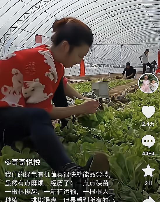 许敏|田静改变思路，农产品成为带货新方向，网友：何时跟许敏互动？