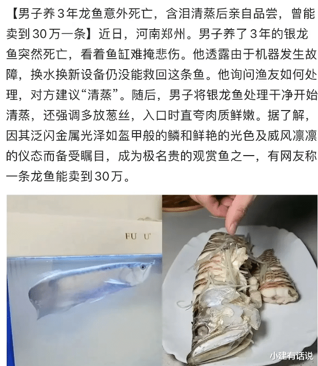 有钱真豪横!河南一小伙吃掉价值三十万的一条鱼!