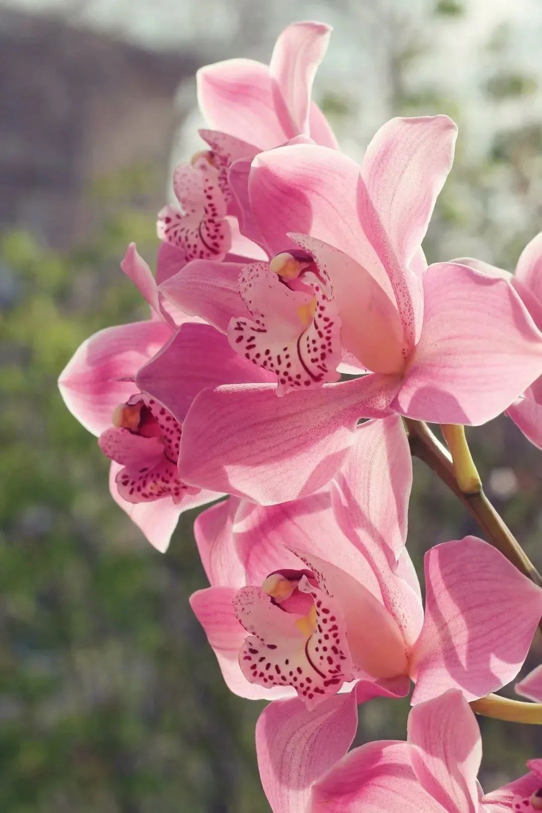 |走自己的路，每个人都是独特的