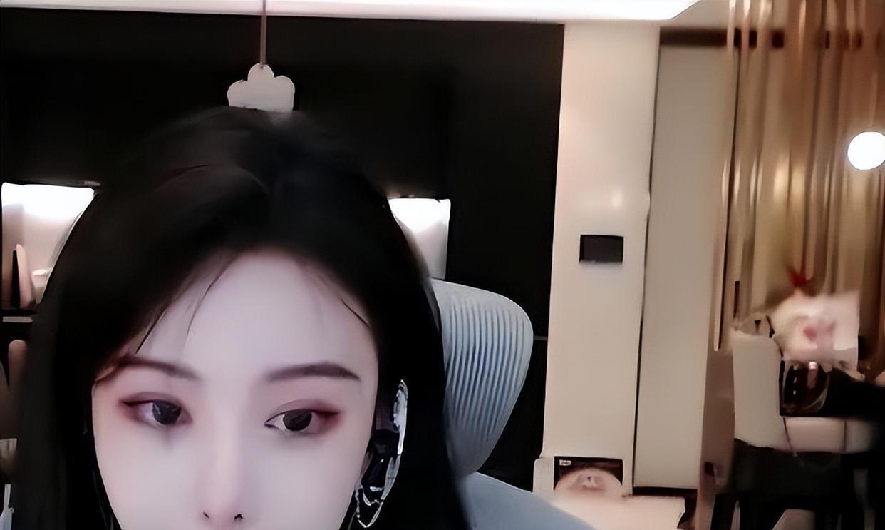 人物设定|回顾：女网红直播时背后惊现睡袍男，连忙解释：他是来修水管的