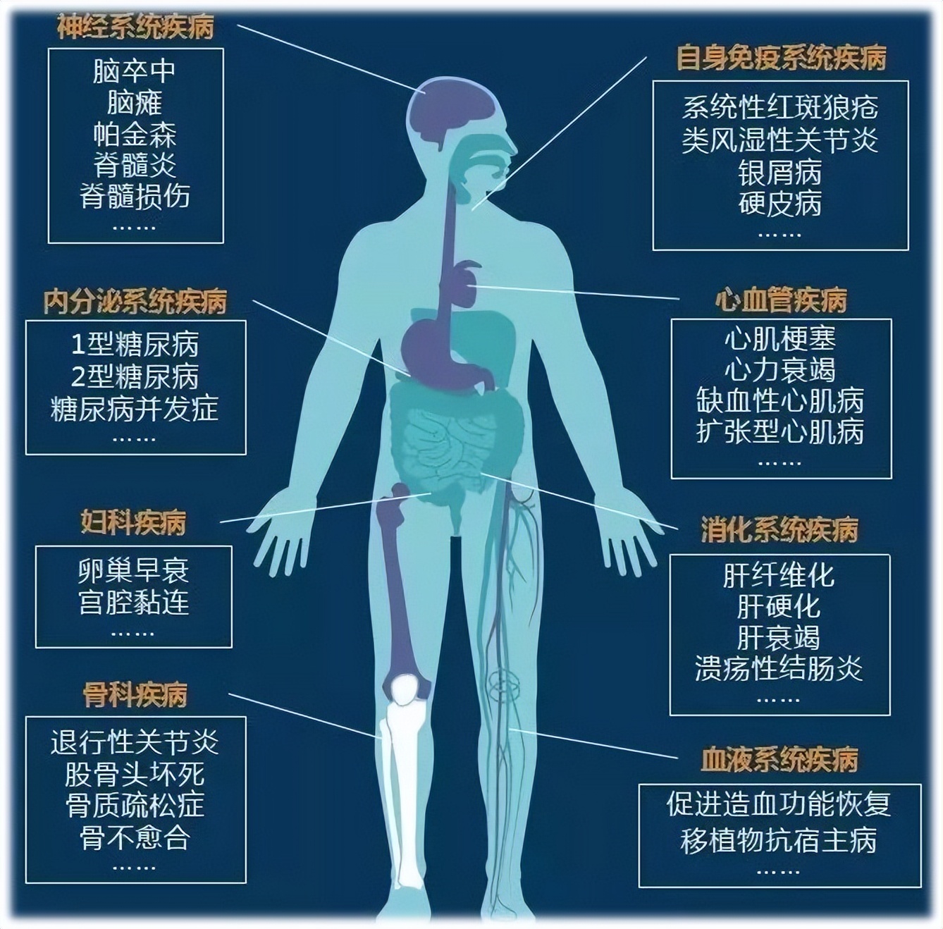 科普丨干细胞治疗各系统疾病的研究进展