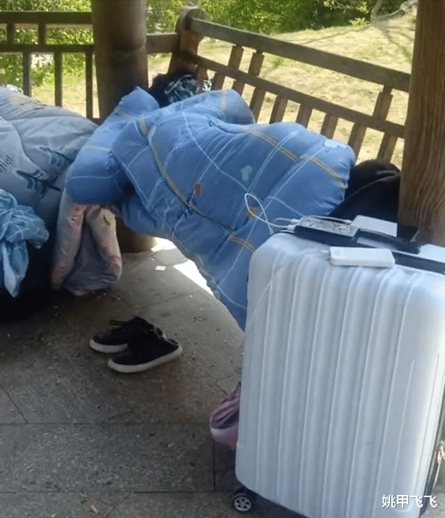 |行李随身带,几个90后睡凉亭,网友:未吃他人苦,莫笑他人惰