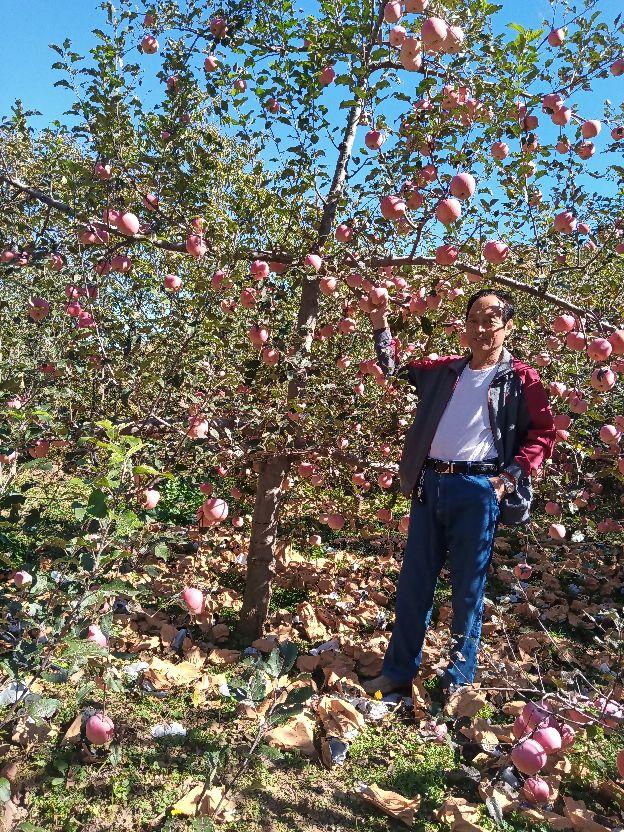 交通法规 清晨爱车准备出发