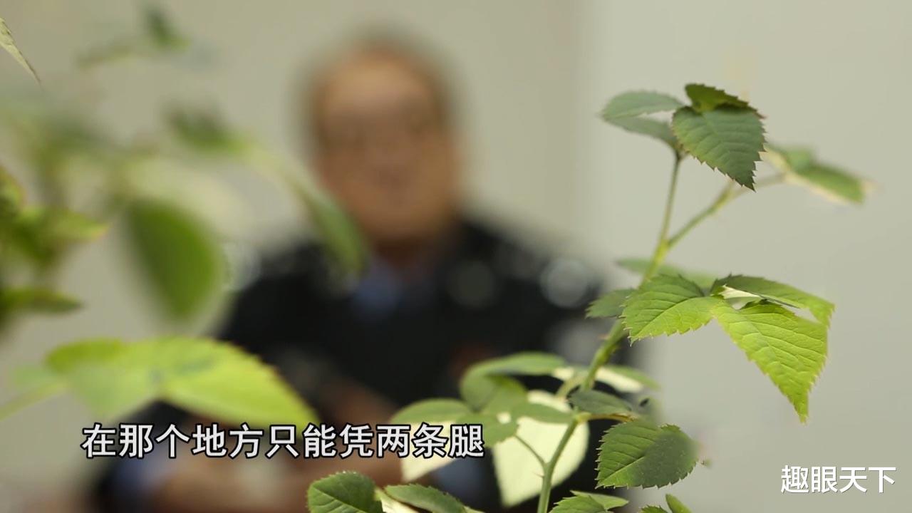 重庆男子出国游发来视频,父亲点开如遭电击,调查发现不简单