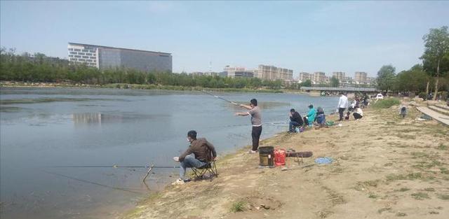 大板|河南一河道成天然黑坑，有人拖家带口来垂钓，网友：鱼犯天条了