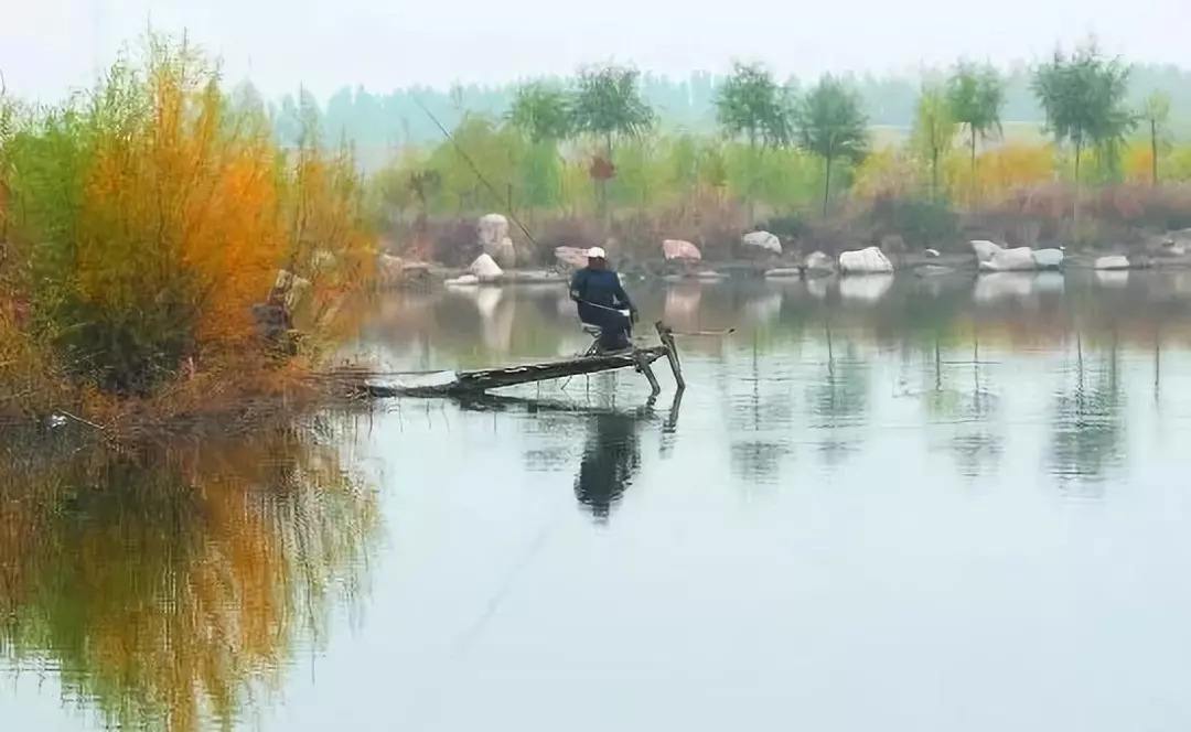 饵料|中秋节前后钓鱼，只需做好这4个调整，渔获会比以往还丰硕