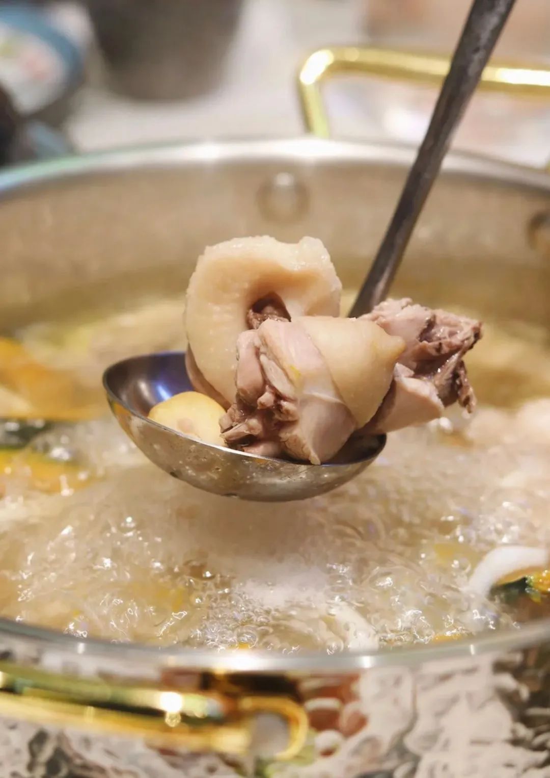 芙蓉区|是时候去海口吃一趟了!