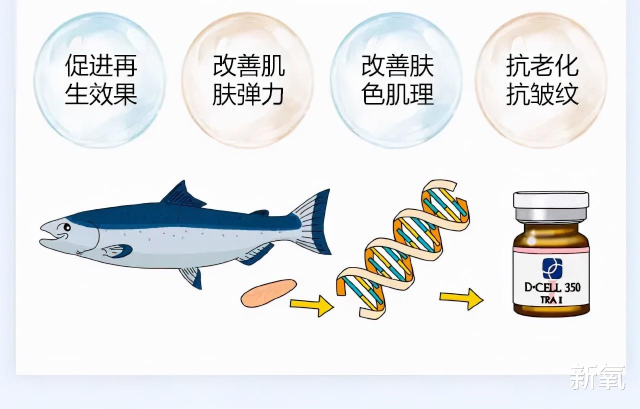 玻尿酸 她们对于“高平整度”的执念好深