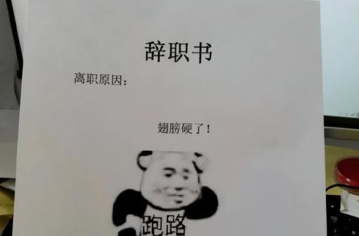 00后|00后整顿职场引争议，离职信特别敢写，老板这样敢批