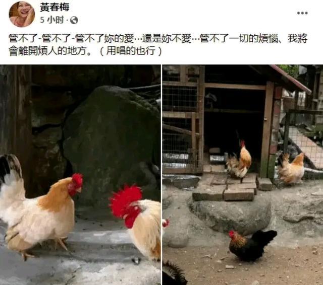 林志玲|林志玲颜值发生变化？大S母亲称自己管不了？张庭林瑞阳又出手了？