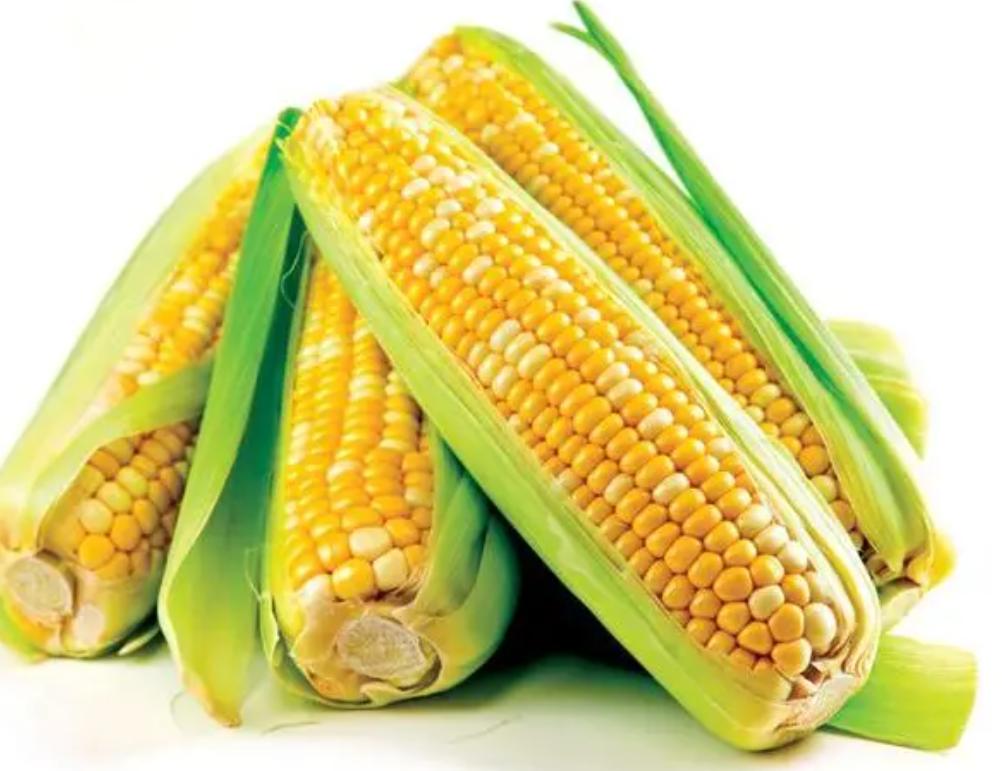 杭州历史上的100种美味蔬菜篇