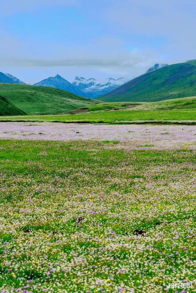 旅行|迎来颜值巅峰！六月最值得去的10个旅行地，正适合来场久违的出游