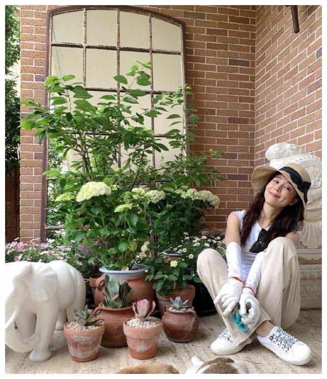 张静初|42岁的张静初的豪宅火了，种满花海，水果，太羡慕了