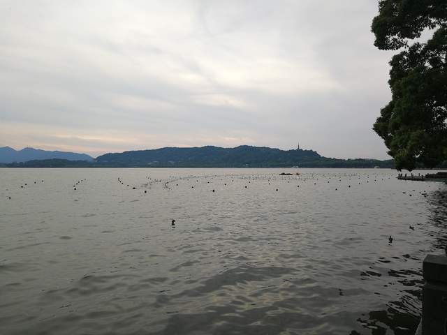 |美景一时观不透,天缘有份画中游。西湖,你仍是十几亿人的娇宠