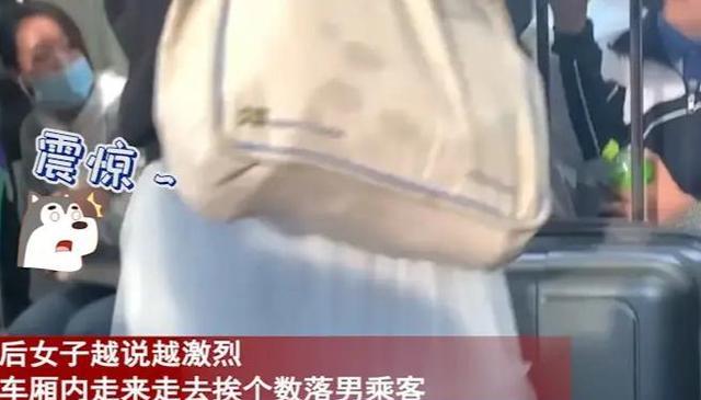 女子坐地铁没有座位,气急败坏嘲讽男乘客不让座,男乘客气笑了