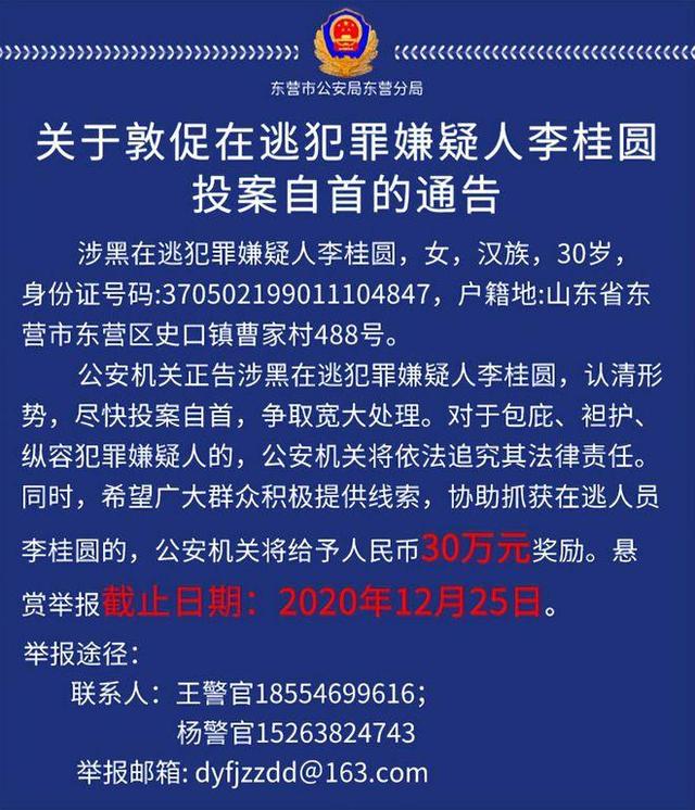 山东90后女黑老大李桂圆,靠美貌为祸东营多年,后被悬赏30万通缉