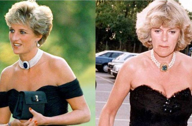 戴安娜王妃|查理三世在争吵时，向戴安娜王妃投掷沉重的木靴托，但没有击中！