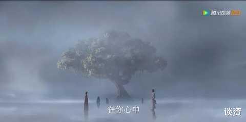 井柏然|一口气扫光29集,已疯!