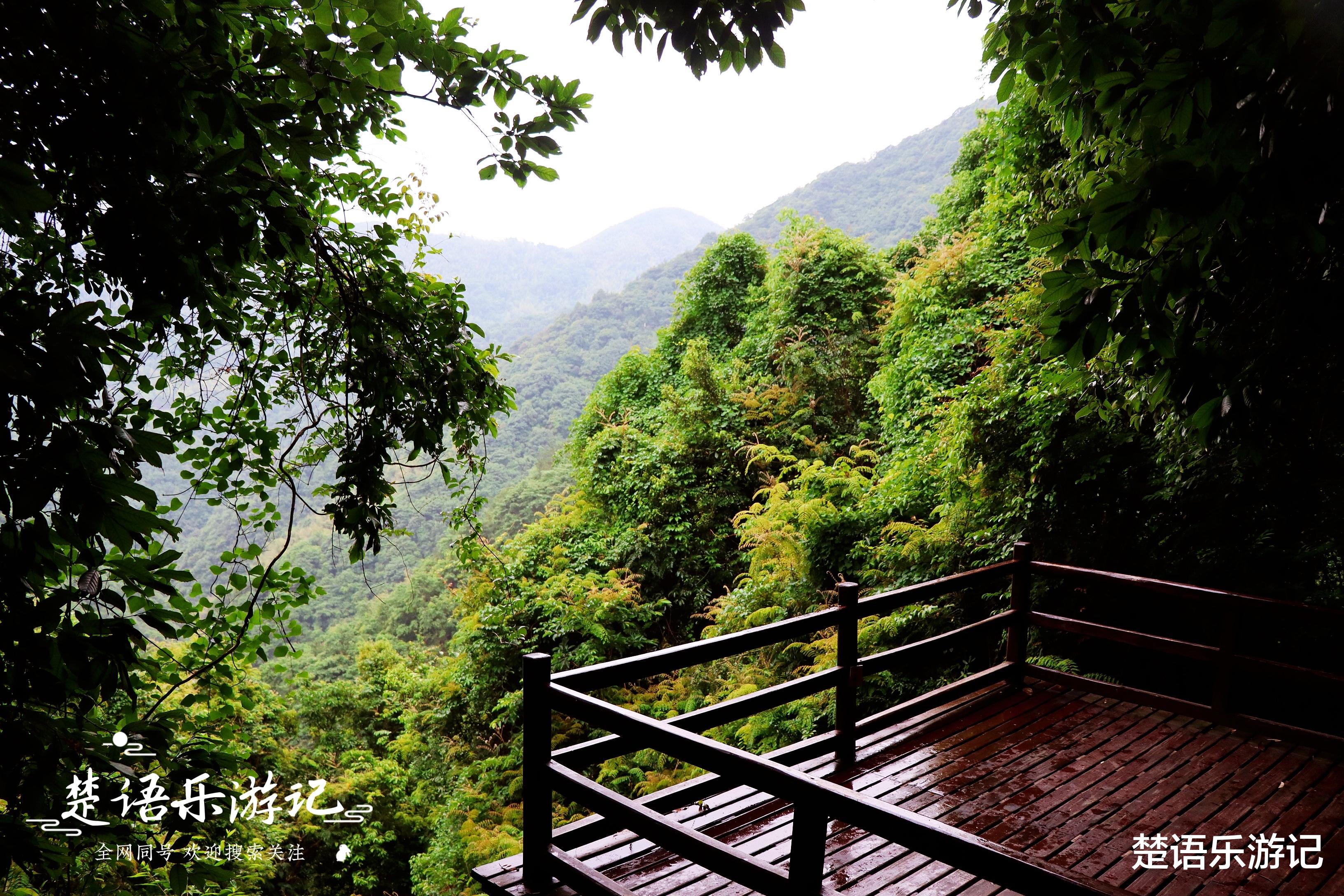 |浙江宁波这处风景地处峡谷之中，幽静凉爽，清潭飞瀑成群，美极了