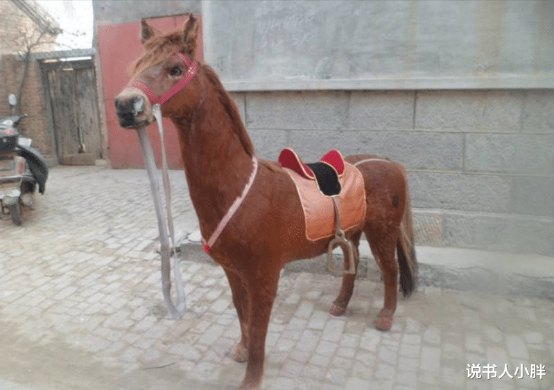 花絮|难怪电视里只有上半身，镜头下移后，是不能看的尴尬画面