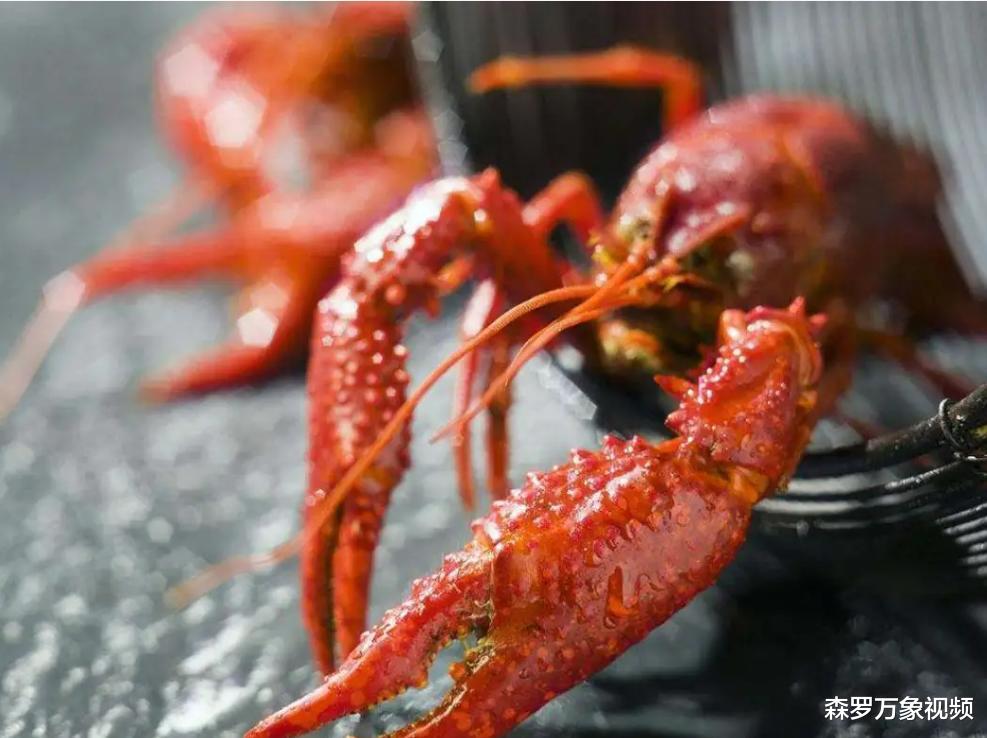 日本禁售小龙虾的原因何在?我国咬牙对付小龙虾10多年,吃货大败