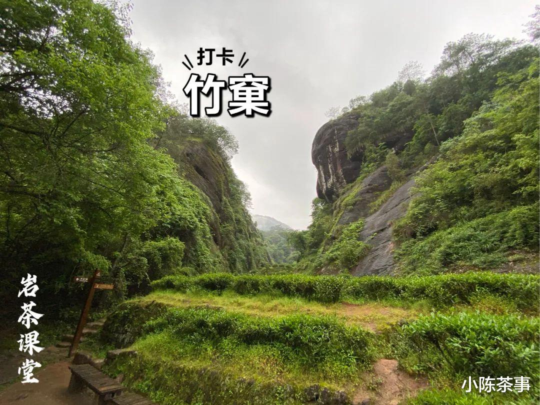 武夷山|章堂涧、古崖居、鹰嘴岩，现场实拍图还原，3分钟带你认识慧苑坑