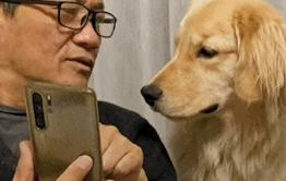 贴膜|一文看懂!明明屏幕比你手机膜还硬,是不是就不需要贴膜了?