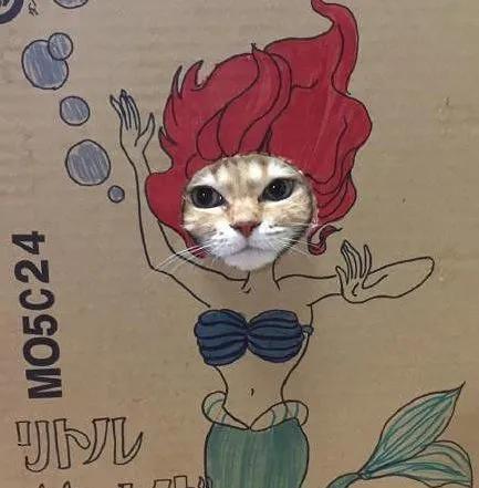 结婚时请了3个伴娘,发现这婚可能结早了...总要给别人留点机会啊