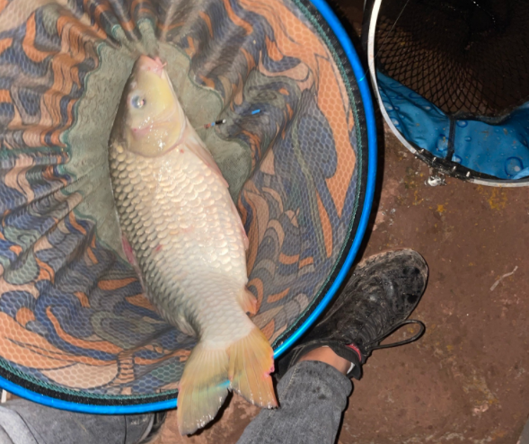 |针对新手，钓鱼要注意什么？不是从宇宙大爆炸开始讲起的（一）